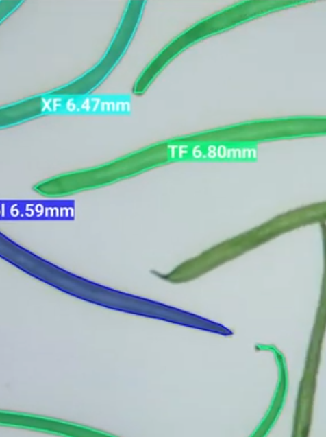 Système d’inspection visuelle automatisée par IA – Octarina