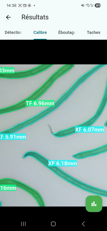 Système d’inspection visuelle automatisée par IA – Octarina